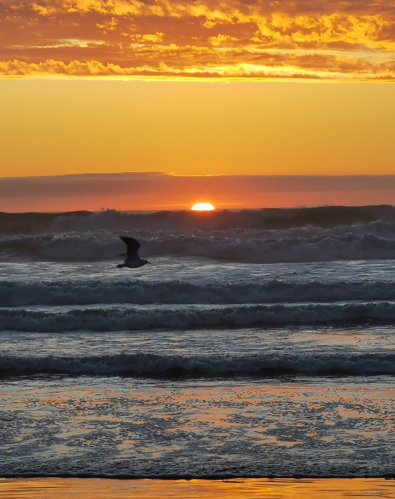 Photograph by Eugene