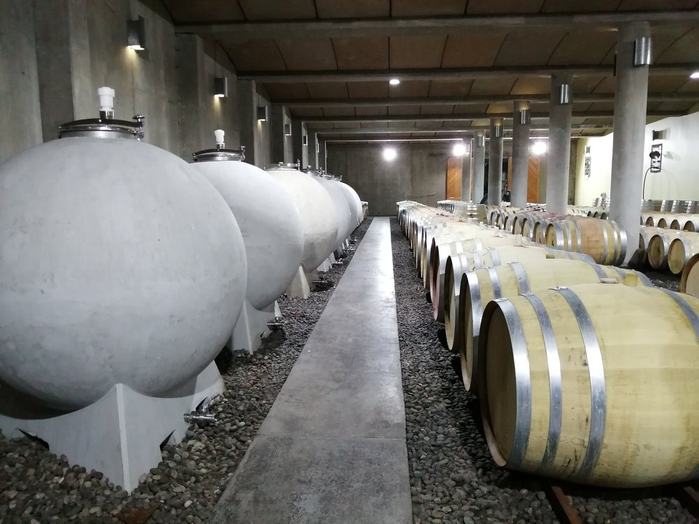 Photo #4593012
