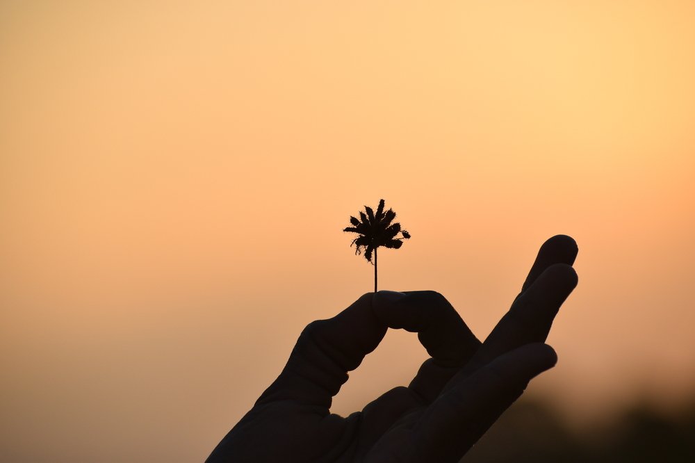 Photograph by Keerthi Hepziba