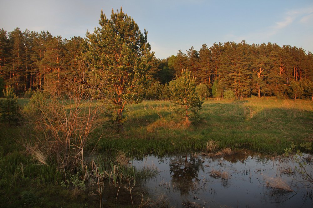 Photograph by Виталий Першин