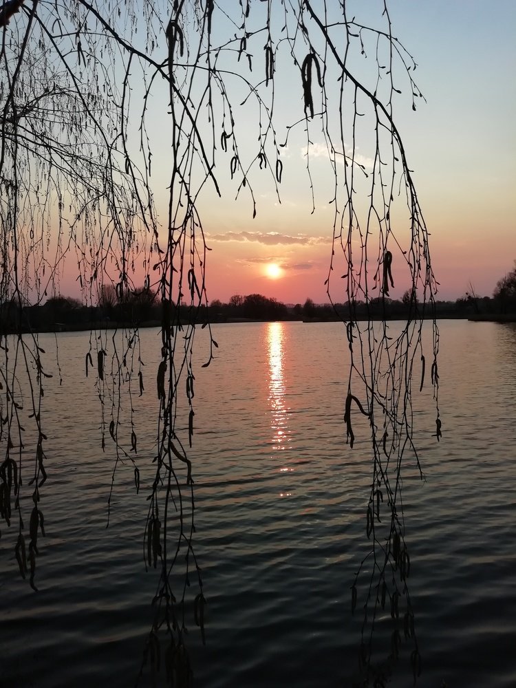 Photo #4593150