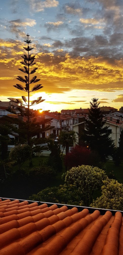 Фотография автора Jorge Correia