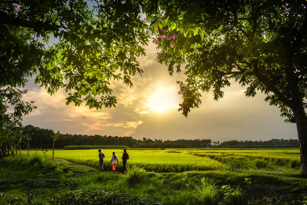 Photograph by DAS PRABIR