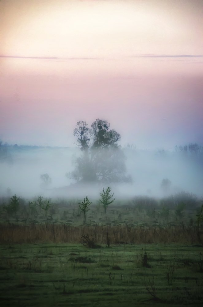 Photograph by Анна Соколова