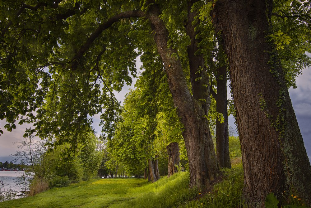 Photograph by Elina Shestakova