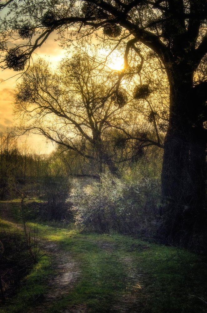 Photograph by Анна Соколова