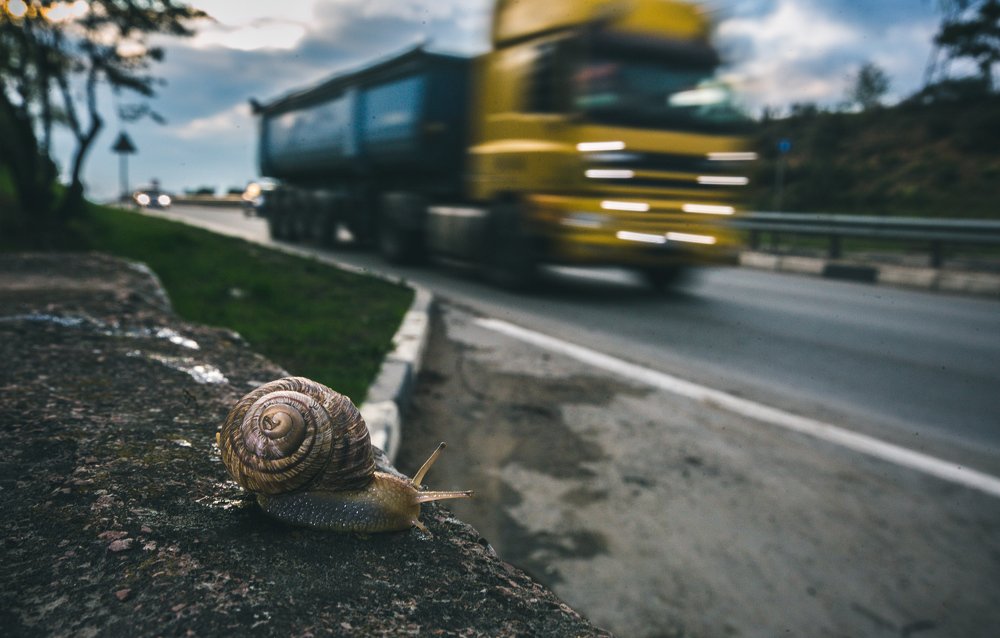 Photograph by Павел Мягких