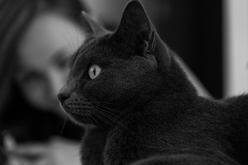 Photograph by Нина Богатырева