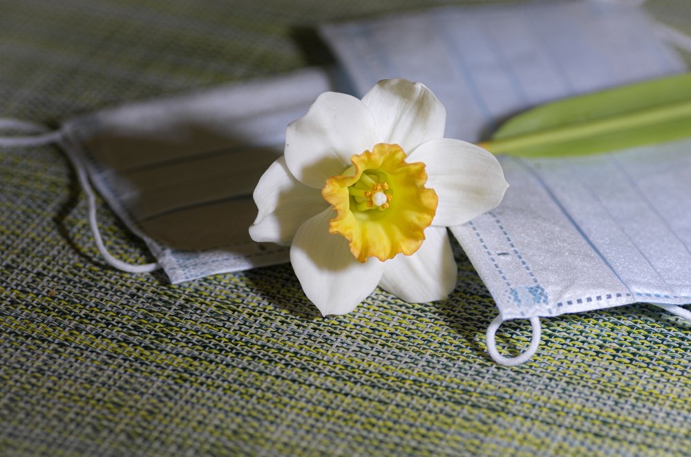 Photograph by Татьяна Зема