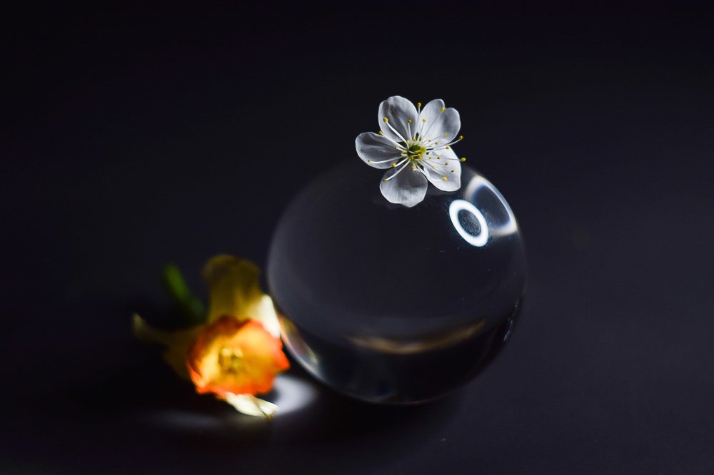 Photograph by Александр Кириков