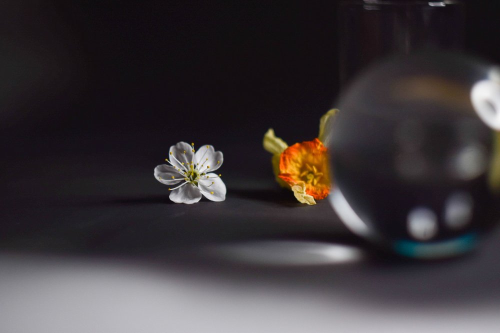 Photograph by Александр Кириков