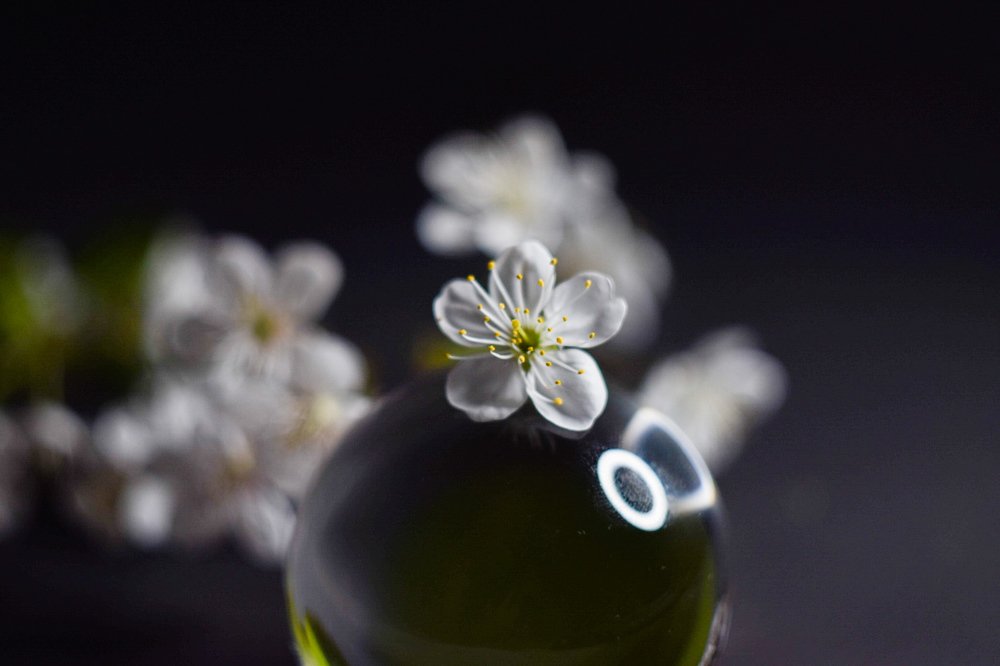 Photograph by Александр Кириков