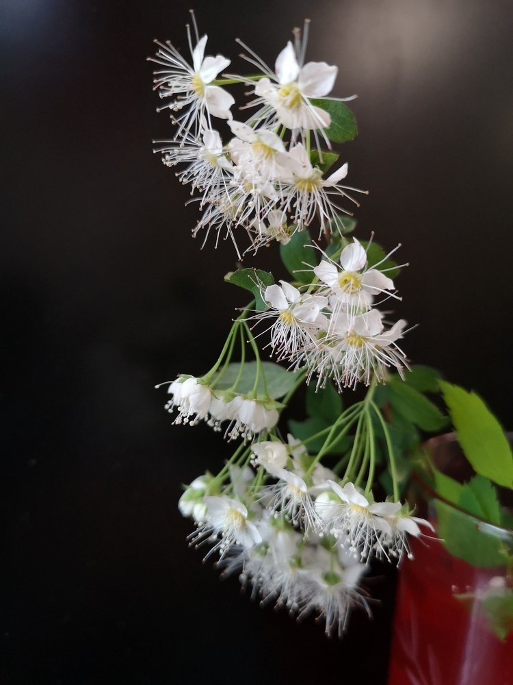 Photograph by Александра Вотякова