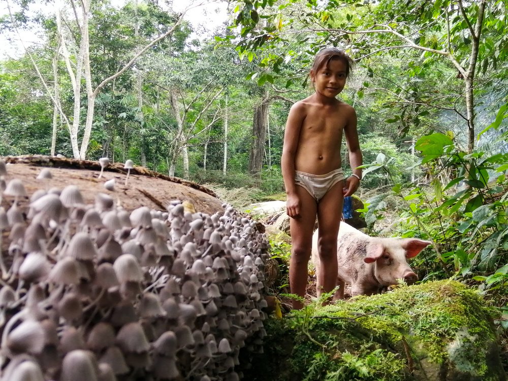 Photo #4593803