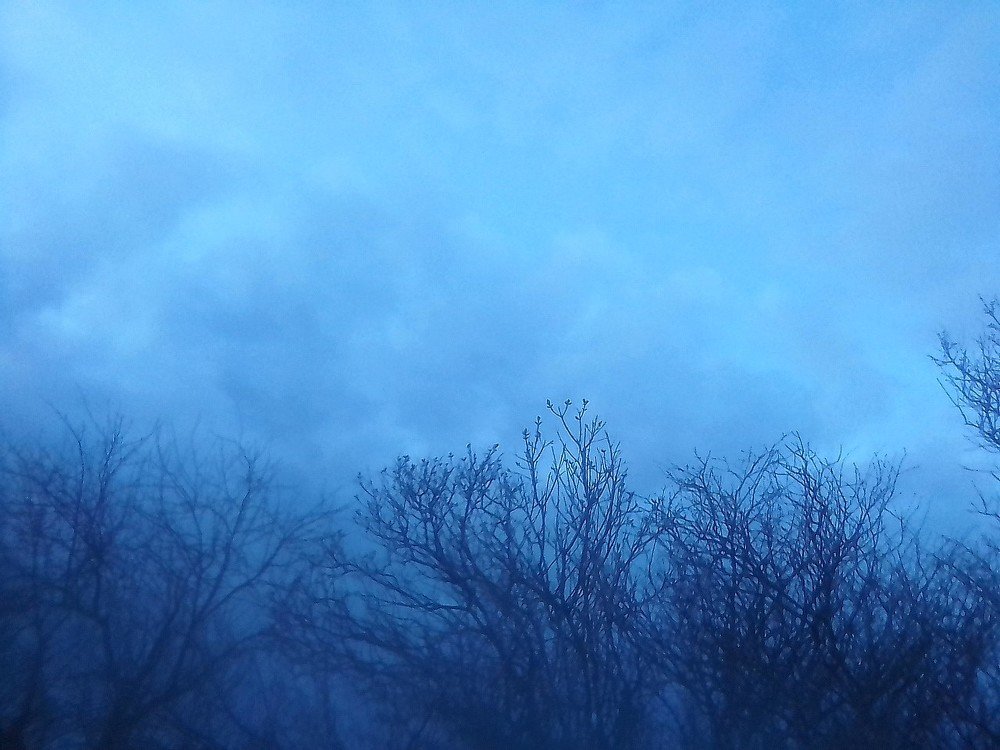 Photograph by Юлия Антонова