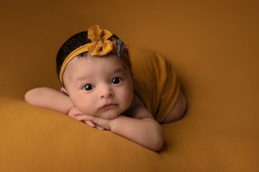 Photograph by anneka harden