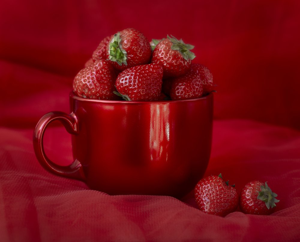 Photograph by Svoboda Andreeva