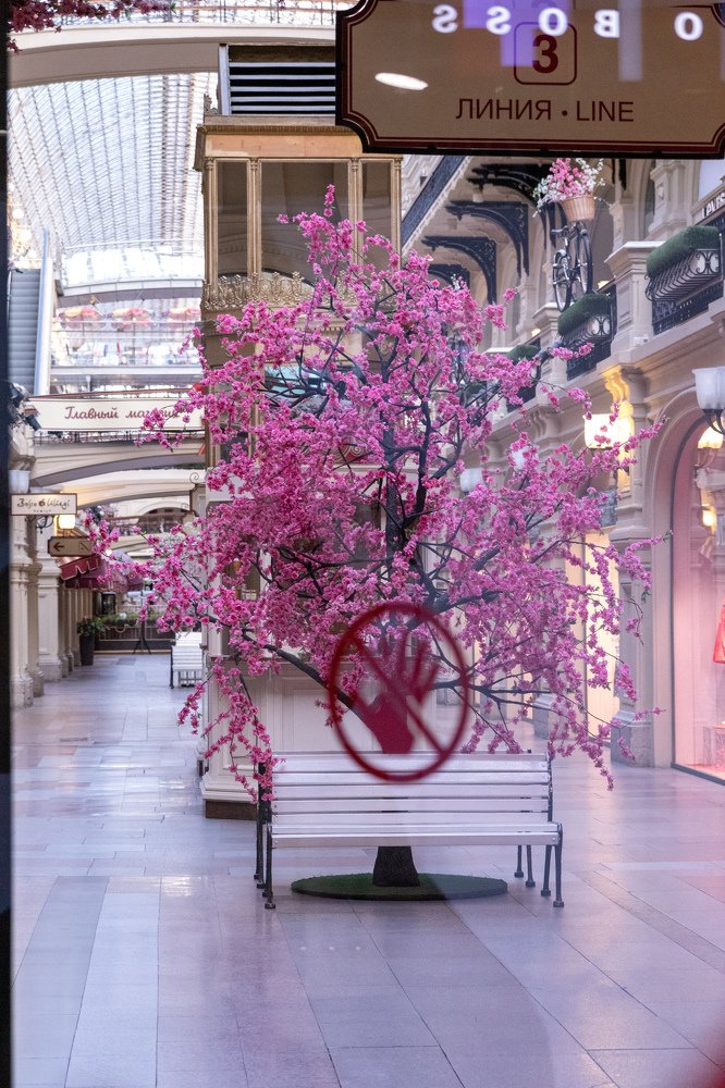 Photograph by Sergey Larin