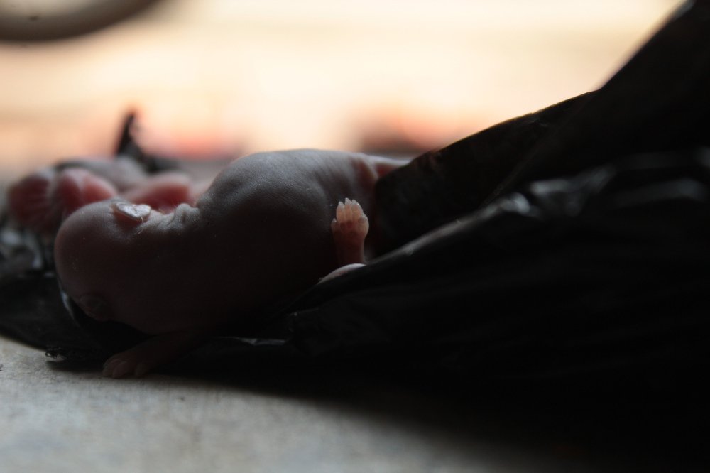 Photograph by Soumadip Das