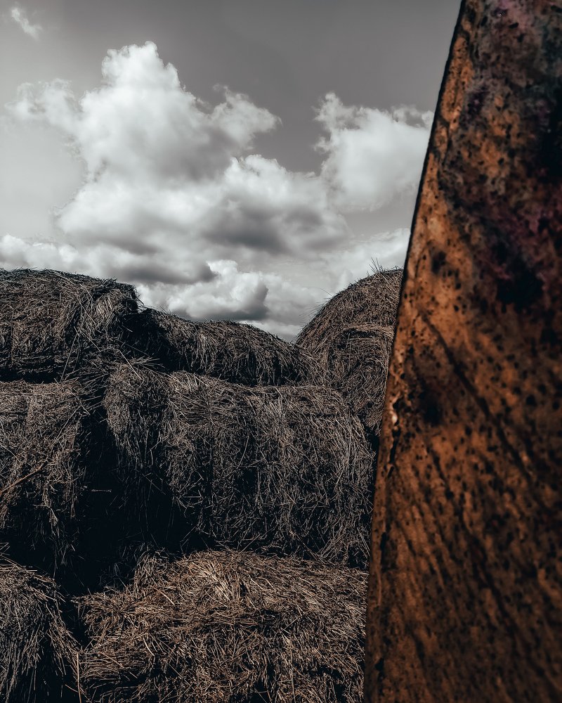 Photograph by Павел Агеев