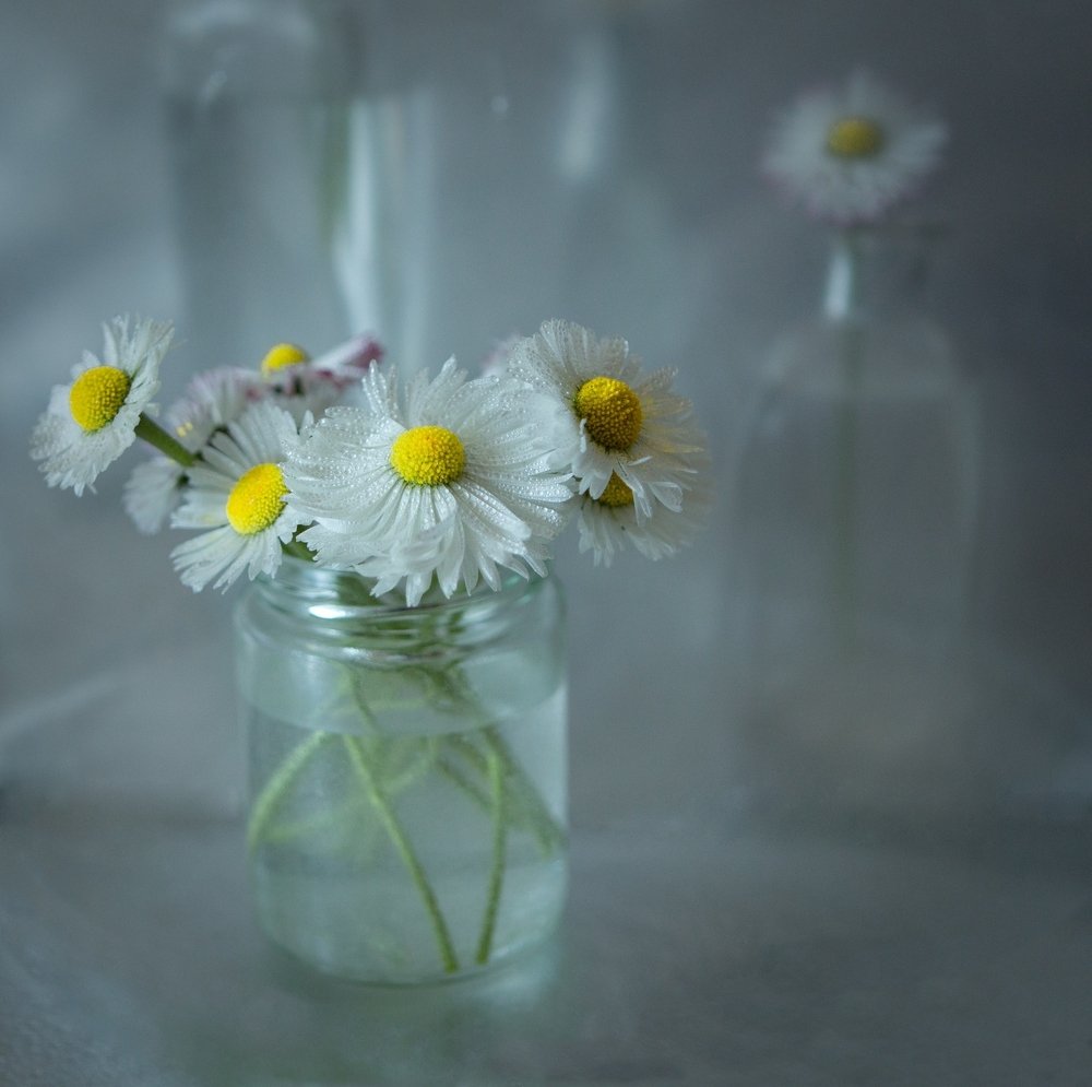 Photograph by Natalia Shilova