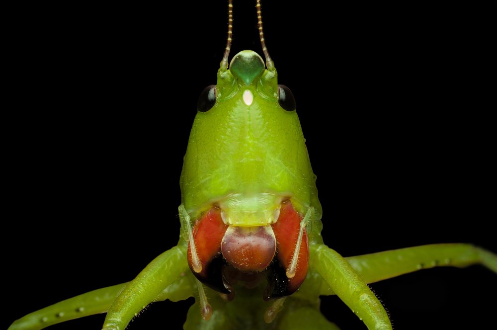 Photograph by Judá Isaí Martínez Uribe