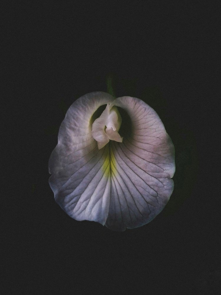 Photograph by Aritra Sagar