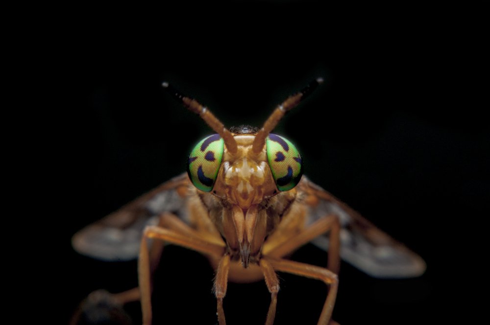 Photograph by Judá Isaí Martínez Uribe