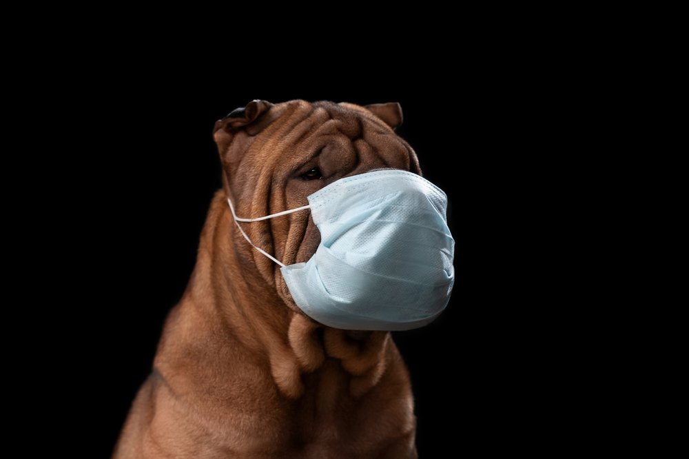 Photograph by Anna Zhidkova