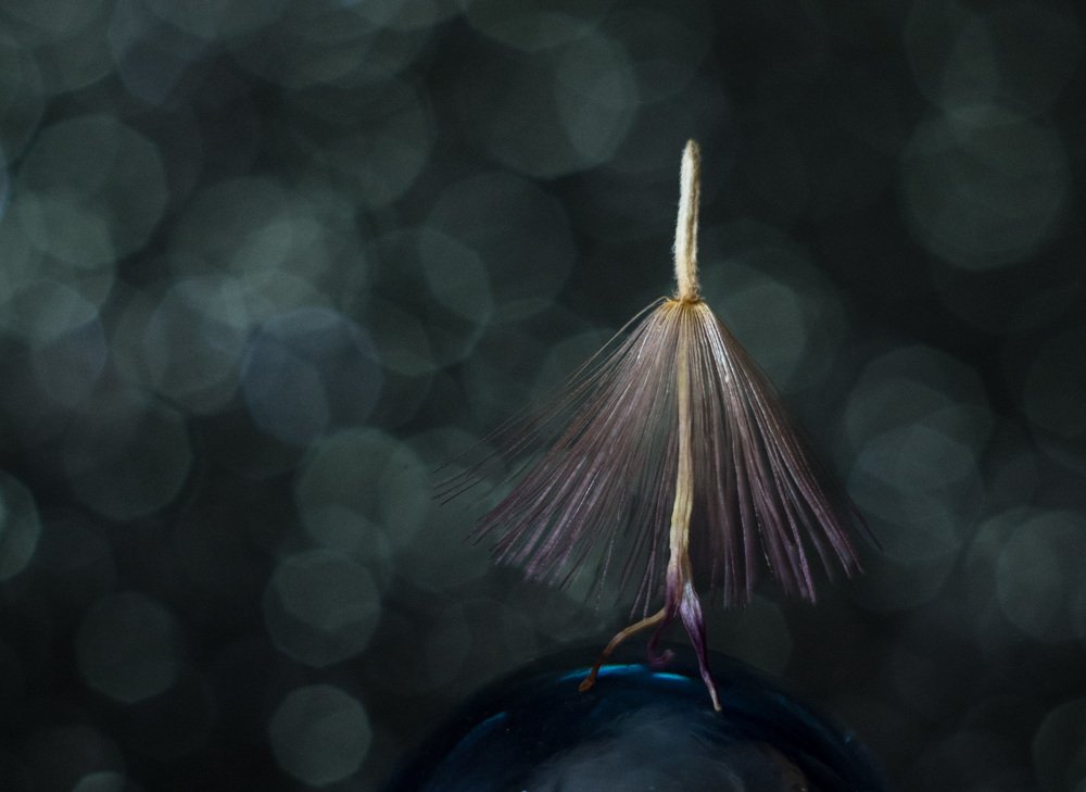 Галактический скиталец