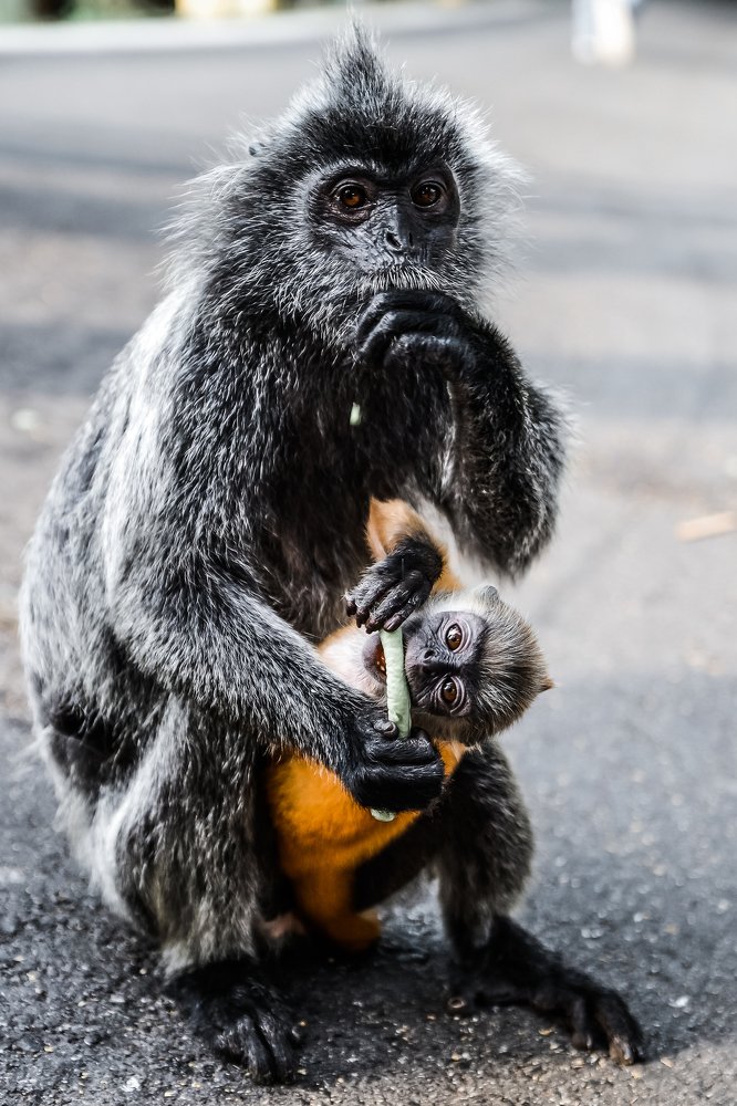 Photograph by Роман Моско