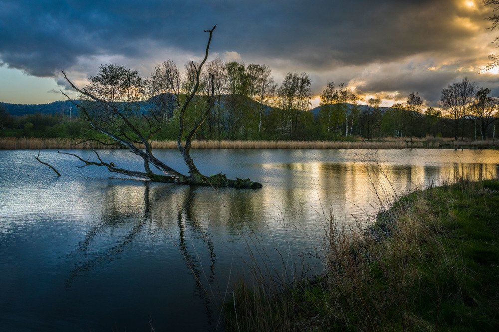 Photograph by Peter Hennig