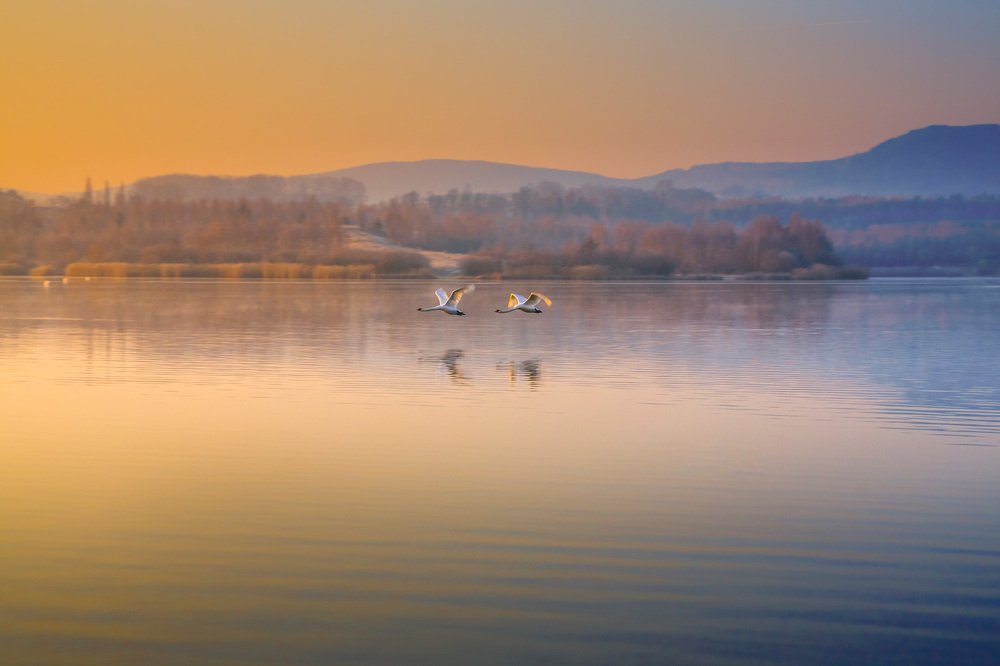 Photograph by Peter Hennig