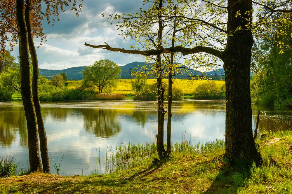 Spring in the Zittau Mountains Nature Park