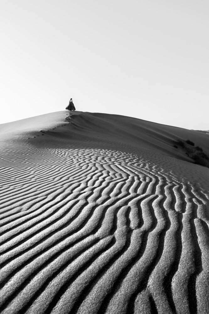 Фотография автора ziba alirezaei58