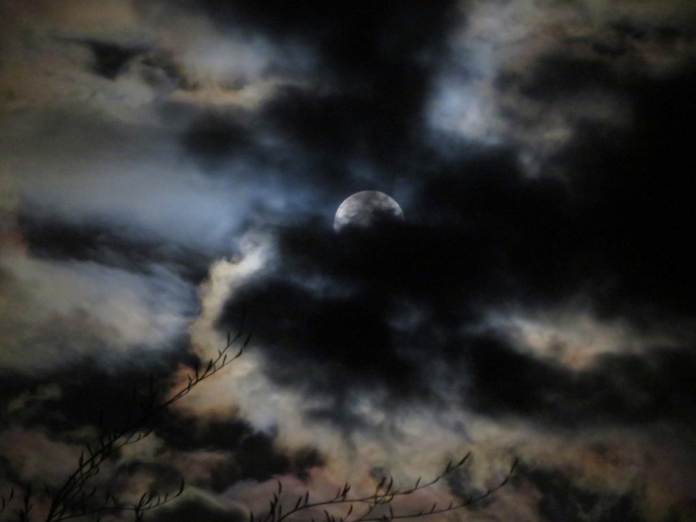 Фотография автора Ольга Завадилика