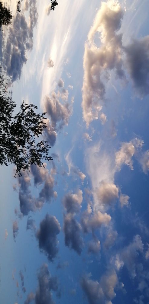 Photograph by Алина
