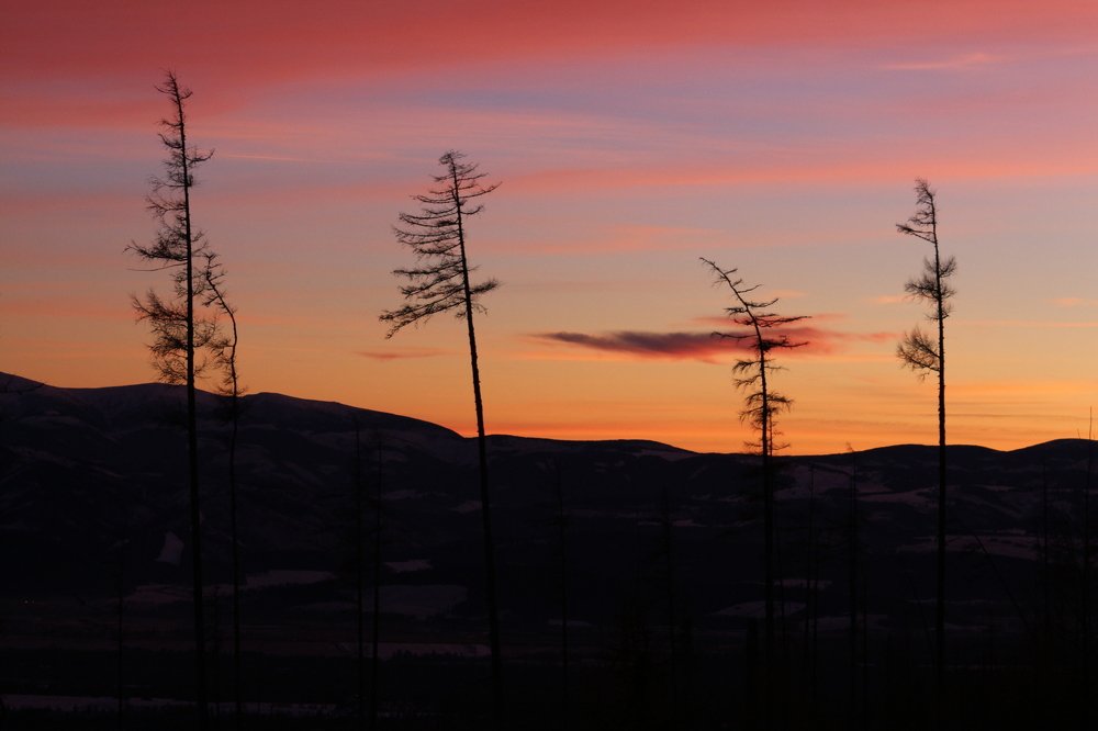 Фотография автора Андрій Майовець