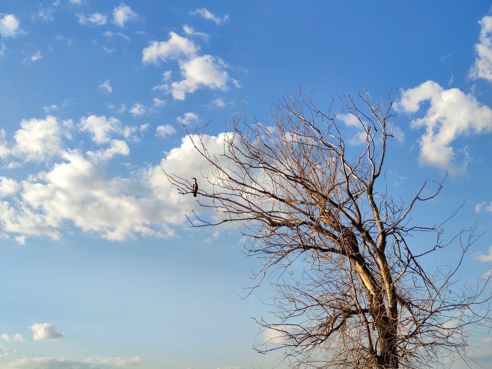 Photograph by Ilija Ristevski