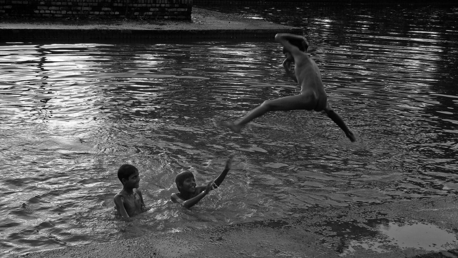 Returning to the pond