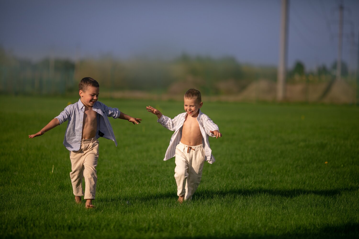 Photo #4594856