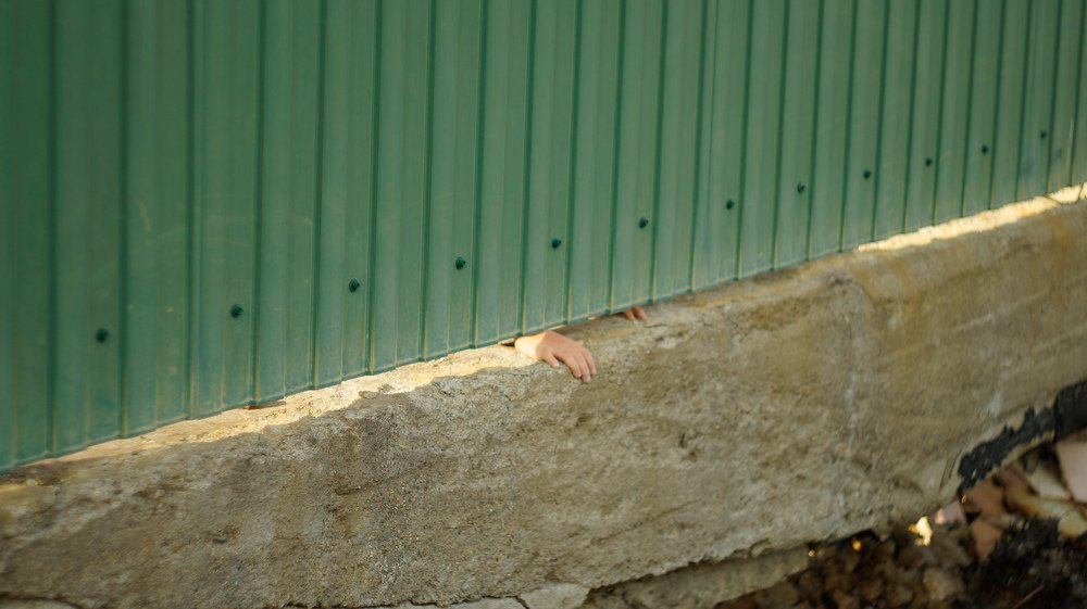 Пытливость и самоизоляция