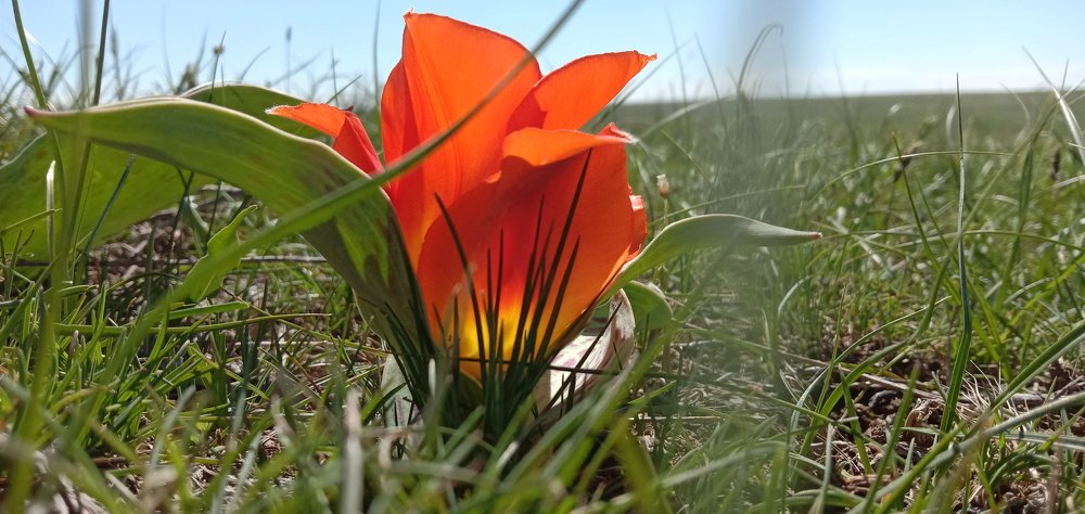 Фотография автора Сергей Ляшко