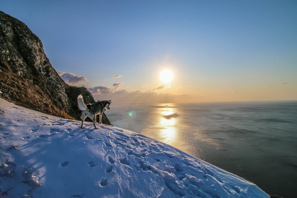 Фотография автора Маргарита Басова