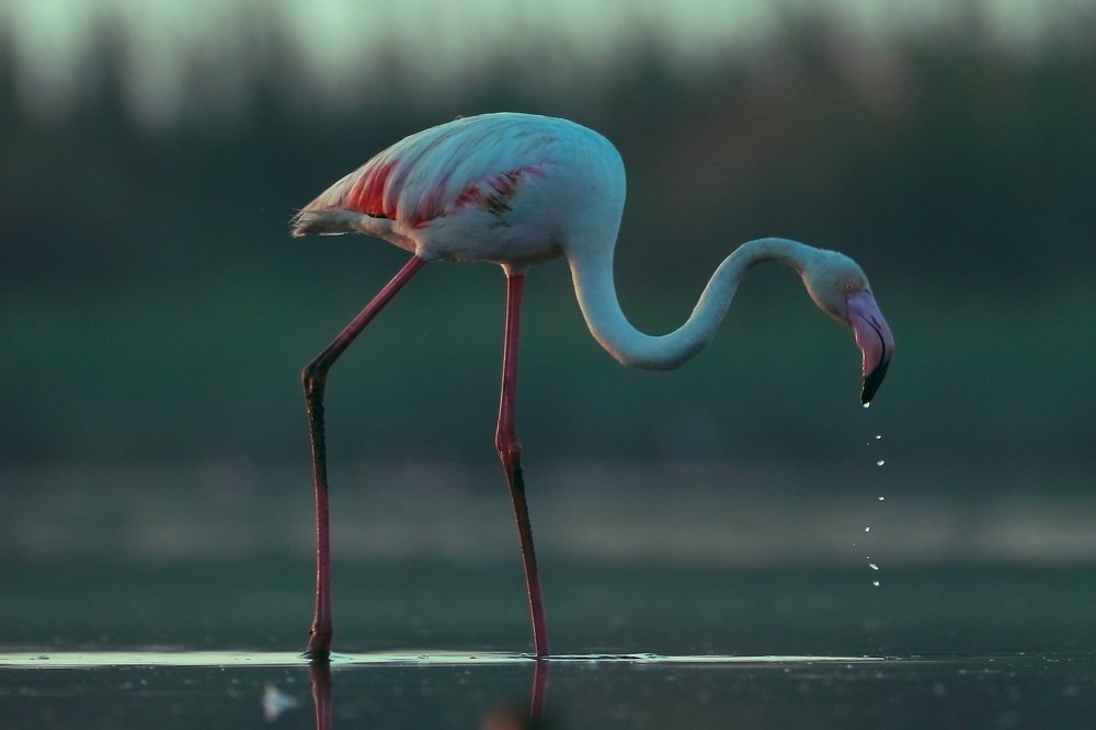 Photograph by Piotr Warzecha