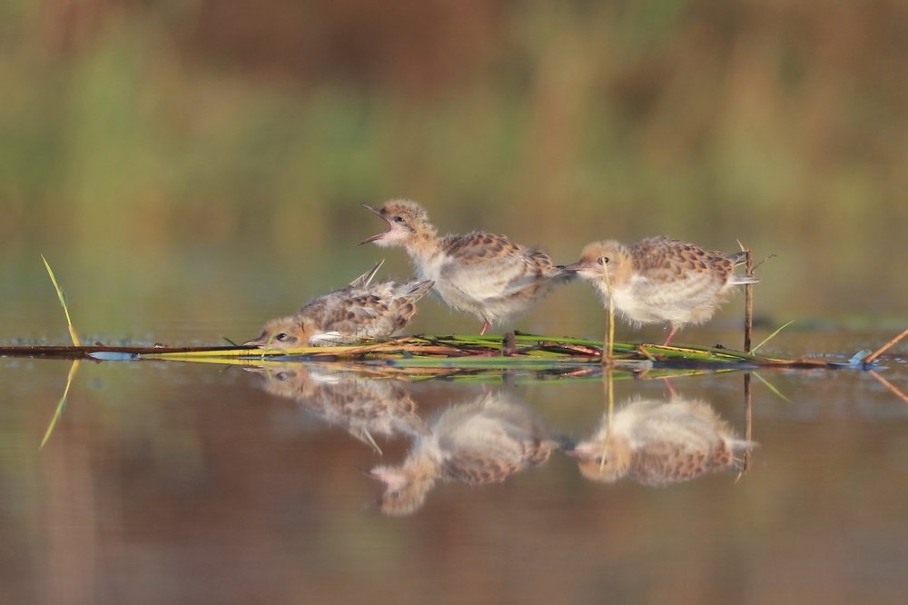 Photograph by Piotr Warzecha