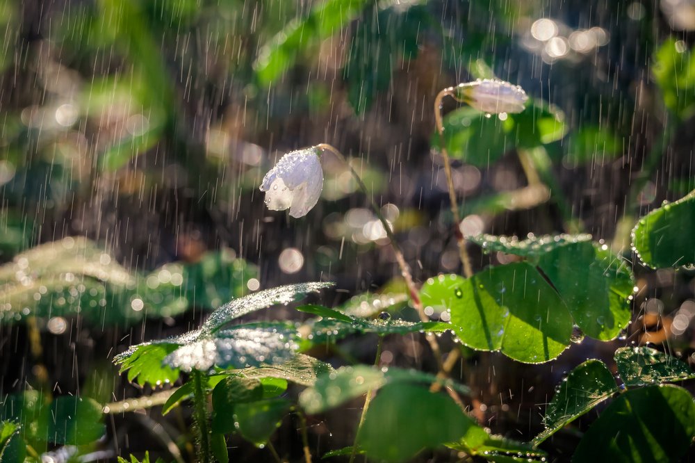 Photograph by Дмитрий