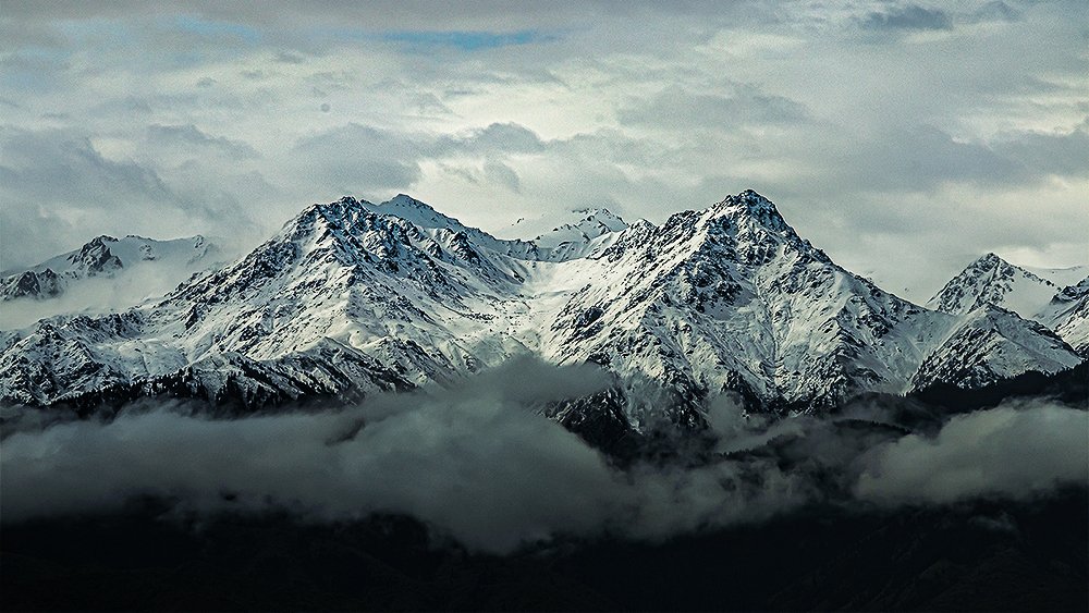 Фотография автора Владимир Душанц