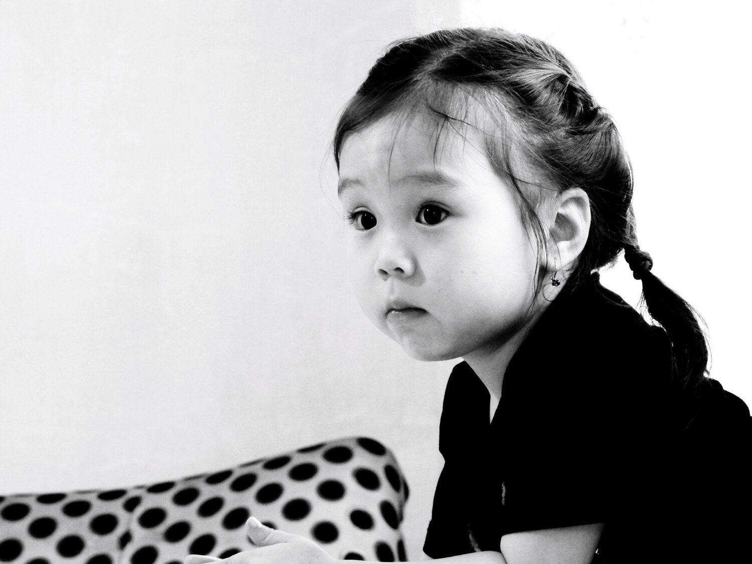 Photo #4595226
