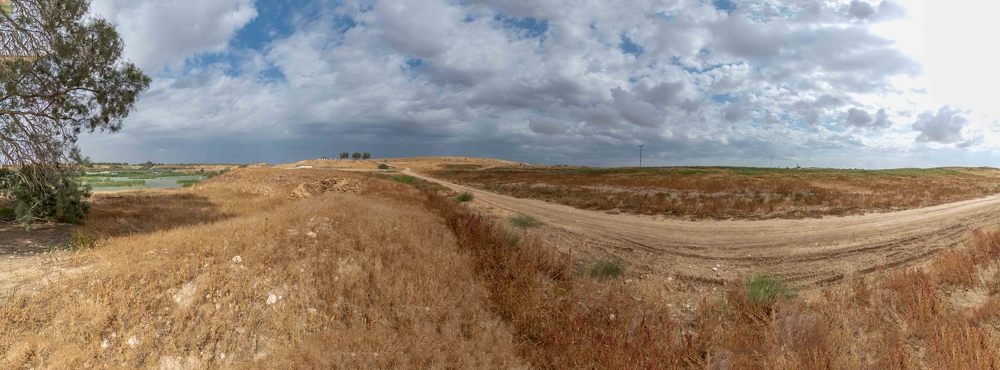 Photograph by Александр Ляндрес